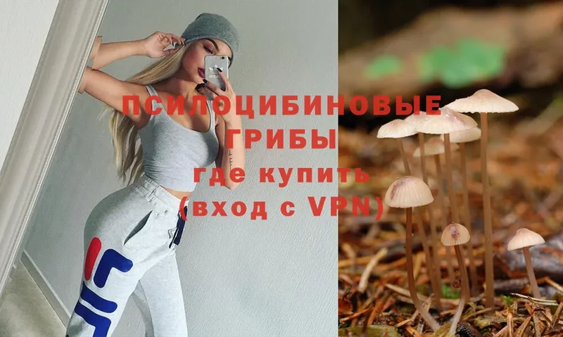 Галлюциногенные грибы Magic Shrooms  hydra онион  Армянск 